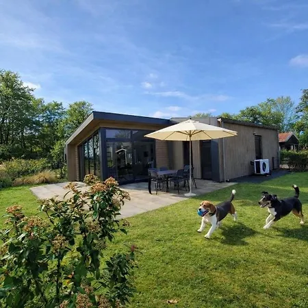 Vakantiehuis Torenvalk 32 Hulshorst
